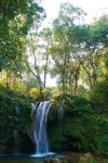 Waterfall at Jim Corbett National Park - Footwa